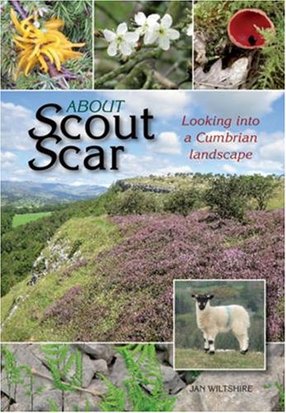 About Scout Scar: Looking into a Cumbrian Landscape